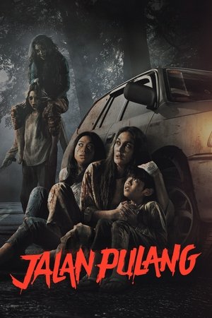 Jalan Pulang