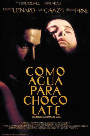 Acı Çikolata 1992